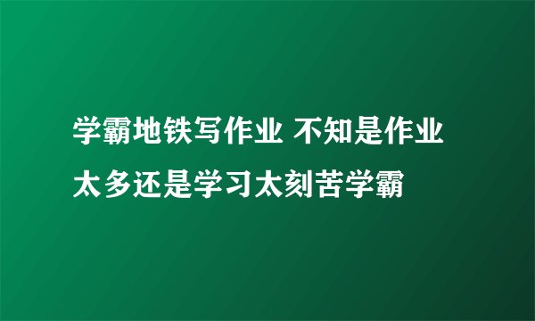 学霸地铁写作业 不知是作业太多还是学习太刻苦学霸