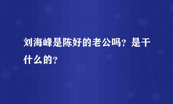 刘海峰是陈好的老公吗？是干什么的？