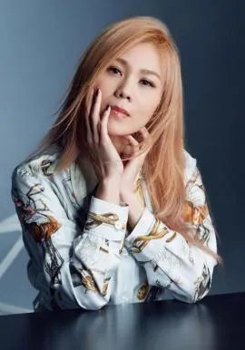 蔡健雅好听十首歌曲？