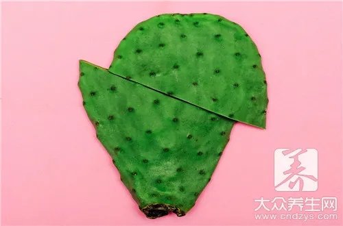  仙人掌的果实有什么功效