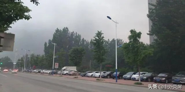 偶然看到说王珞丹发寻鸭启示，娱乐圈就这么无聊吗？