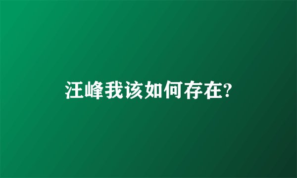 汪峰我该如何存在?
