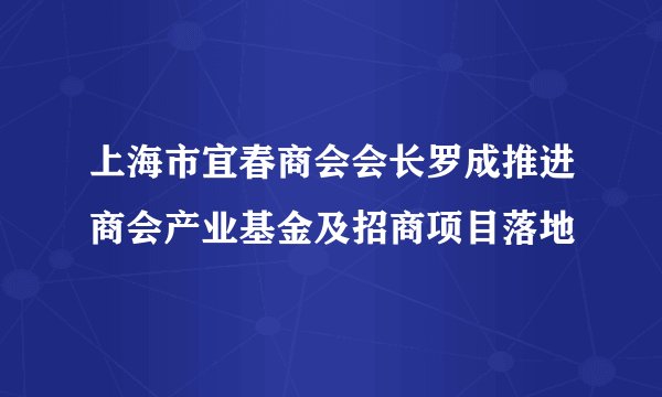 上海市宜春商会会长罗成推进商会产业基金及招商项目落地
