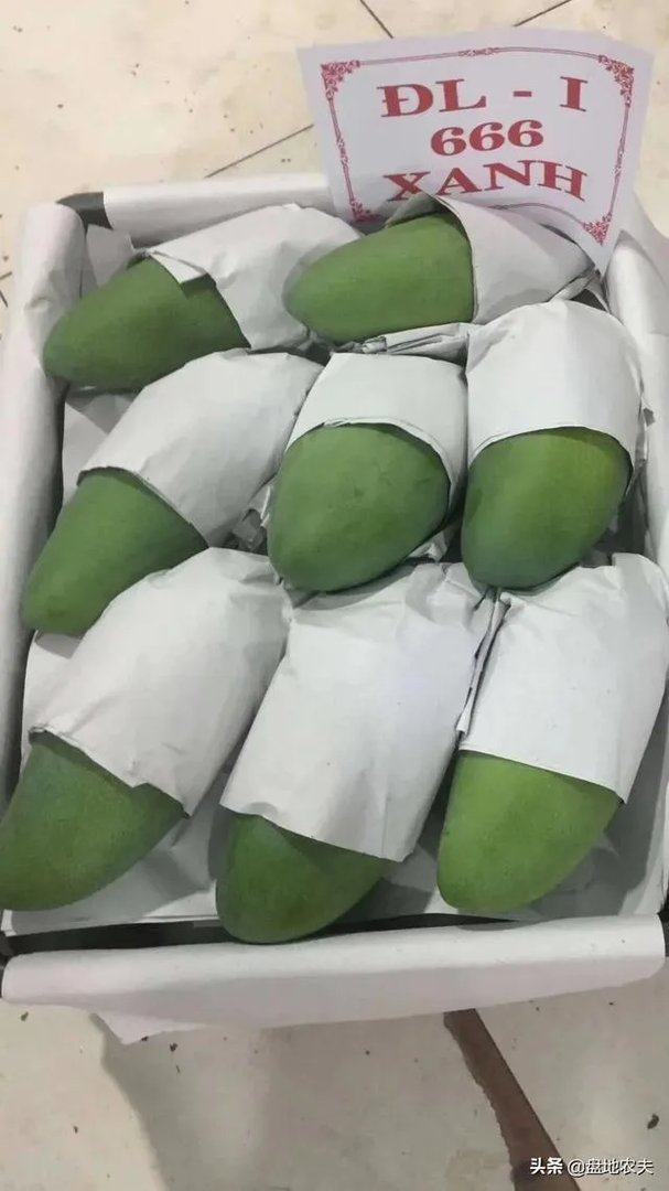 越南什么时候可以入境中国