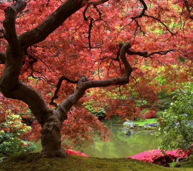 纳米活矿石有害吗？