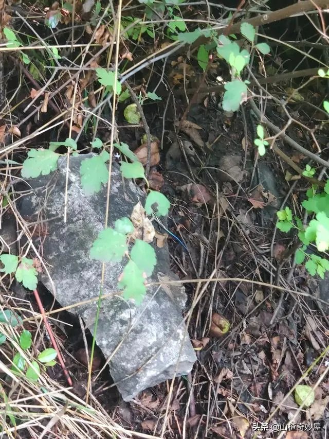 旅行途中你都见过哪些罕见的风景？