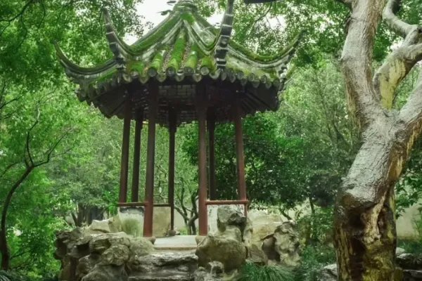 上海周边二日游有哪些路线值得推荐？