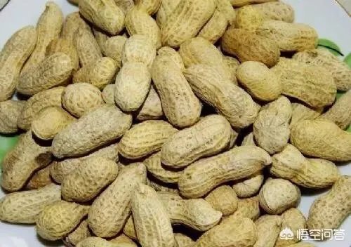 2019年花生米行情走势如何?