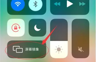 手机斗鱼投票搜索不到设备