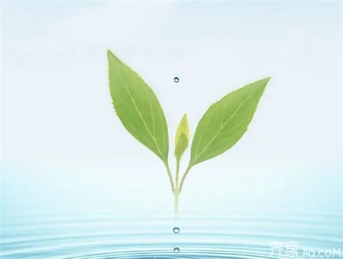 【生活家电】水家电包括什么  水家电价格