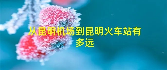 从昆明机场到昆明火车站有多远