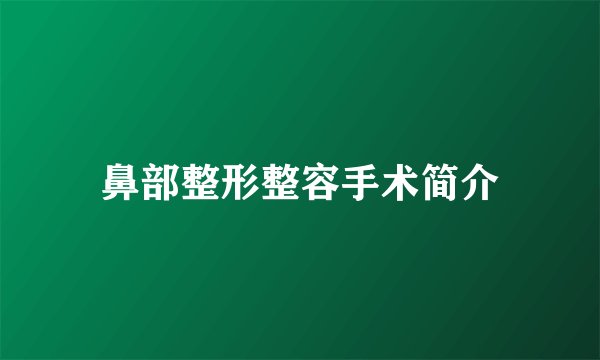 鼻部整形整容手术简介
