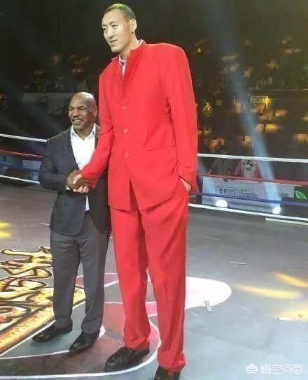 孙明明和姚明哪个高