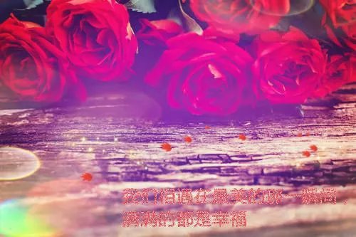 0852蟹总未删减版全文阅读 0852小说完整版