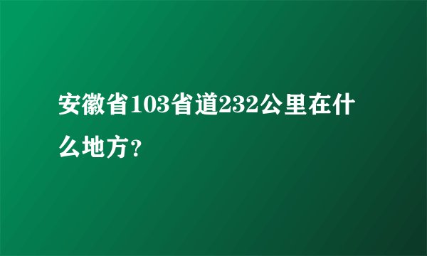 安徽省103省道232公里在什么地方？