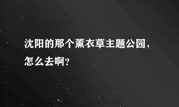 沈阳的那个薰衣草主题公园，怎么去啊？