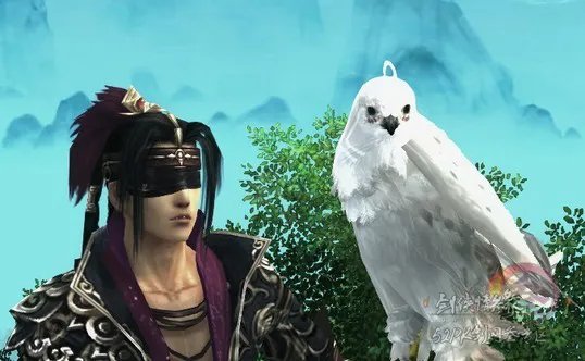 剑网3丐帮宠物隼五种外观游戏实景截图整理