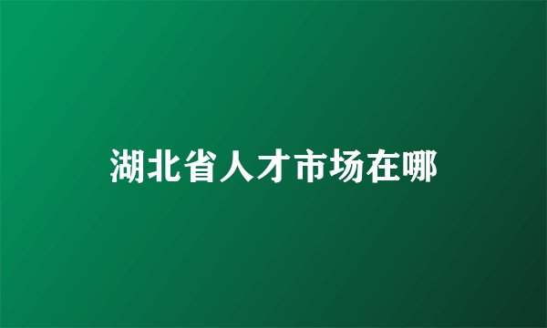 湖北省人才市场在哪