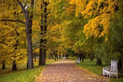 今年什么时候立秋早上还是晚上，2021年立秋是几点几分