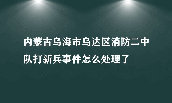 内蒙古乌海市乌达区消防二中队打新兵事件怎么处理了