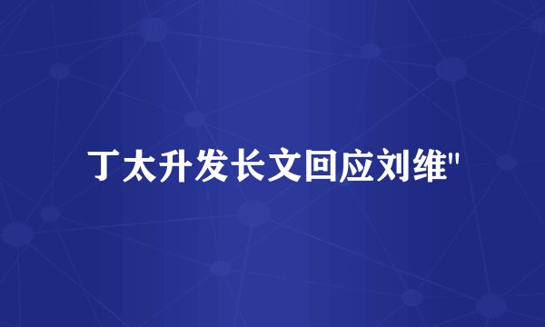 丁太升发长文回应刘维