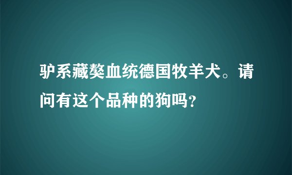驴系藏獒血统德国牧羊犬。请问有这个品种的狗吗？