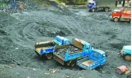 祁连山非法采煤的青海首富，为什么敢这么嚣张？