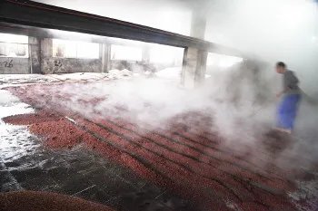 2013社会磕的歌词大意