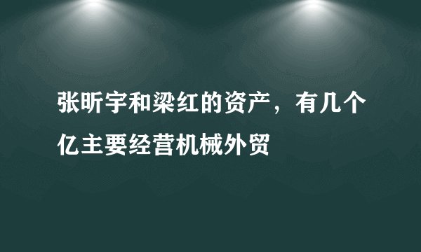 张昕宇和梁红的资产,有几个亿主要经营机械外贸