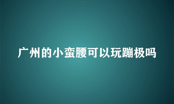 广州的小蛮腰可以玩蹦极吗