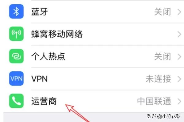 iphone怎么改运营商？