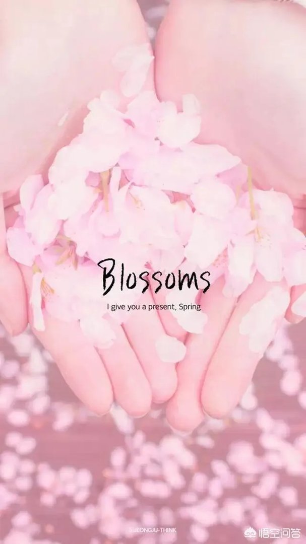 有没有粉色系头像？