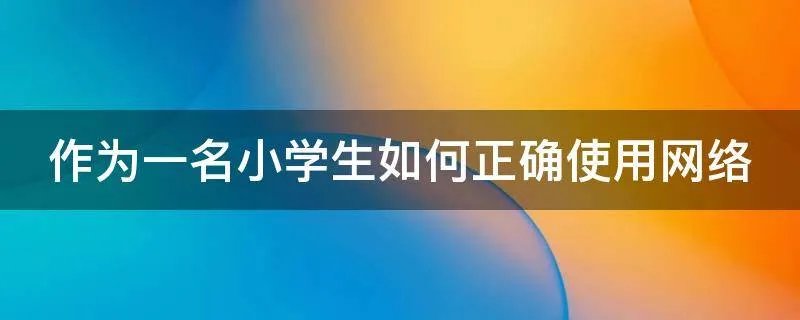 作为一名小学生如何正确使用网络