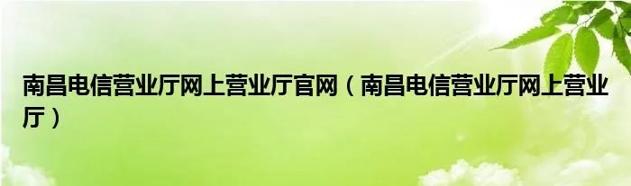 南昌电信营业厅网上营业厅官网（南昌电信营业厅网上营业厅）