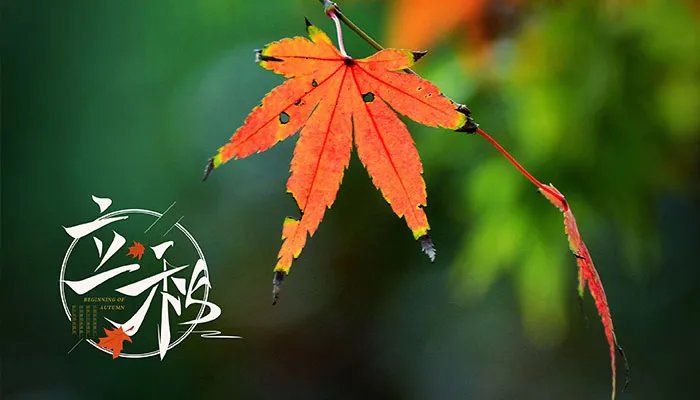 2021年立秋时间是早还是晚 8月7日立秋是早秋还是晚秋