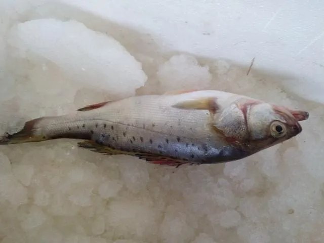 中国首例人体冷冻完成，你怎么看？