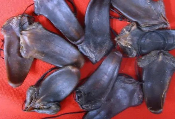 海关查获鹿筋鹿尾将怎么处理？