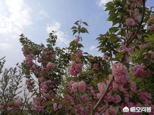 一个班级如果管不住，或者老师不敢管可以乱到什么程度？