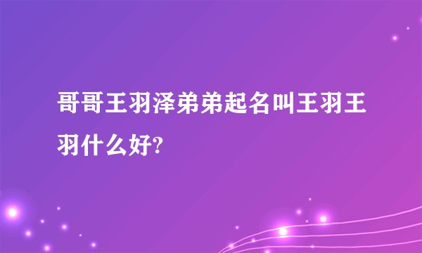 哥哥王羽泽弟弟起名叫王羽王羽什么好?