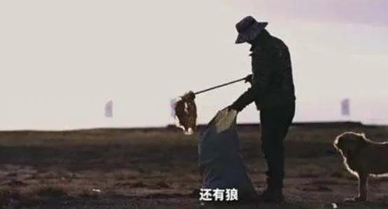 小伙网贷去可可西里捡垃圾引发热议，当事人对此有何回应？