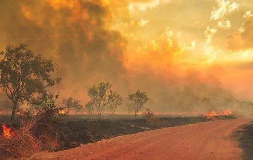 南澳大利亚爆发的山火，会给当地造成什么不好的影响？