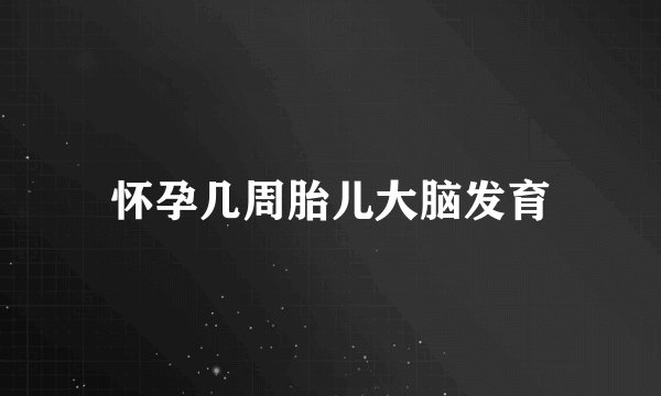 怀孕几周胎儿大脑发育