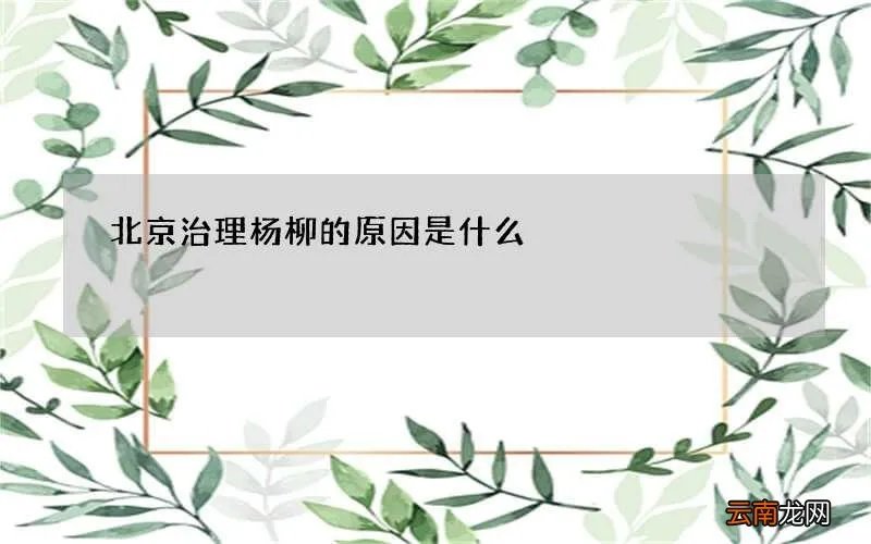 北京治理杨柳的原因是什么