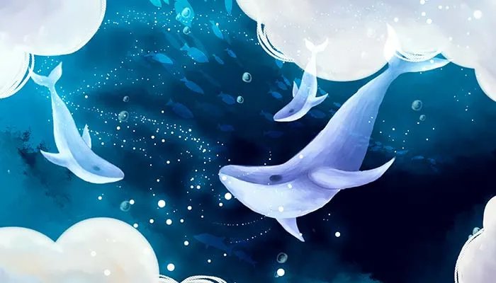 白鲸的特点 白鲸的特点有哪些