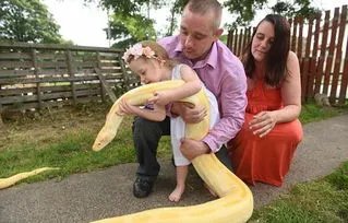 四川小女孩怀蛇原因 肚子里怀的却并不是孩子