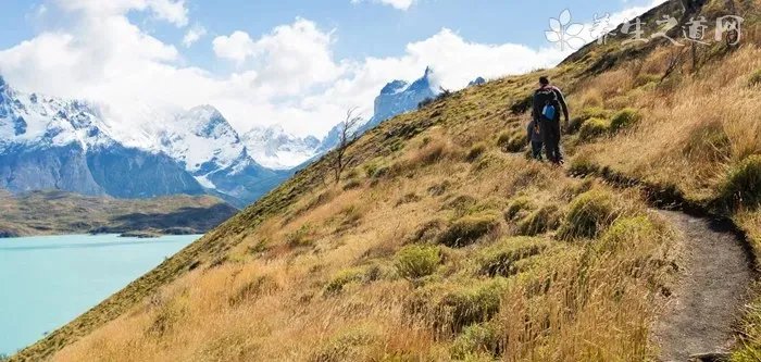 眼影膏是干嘛的 眼影膏的作用