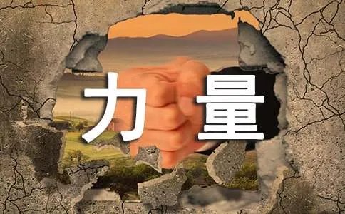 爱的力量作文