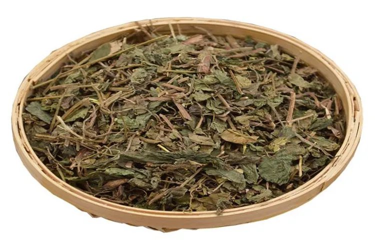 母猪藤的功效与作用图片