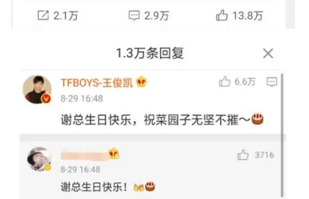 王俊凯祝谢霆锋菜园子无坚不摧什么情况 真相来了原来是这样