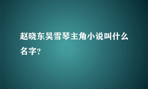 赵晓东吴雪琴主角小说叫什么名字？